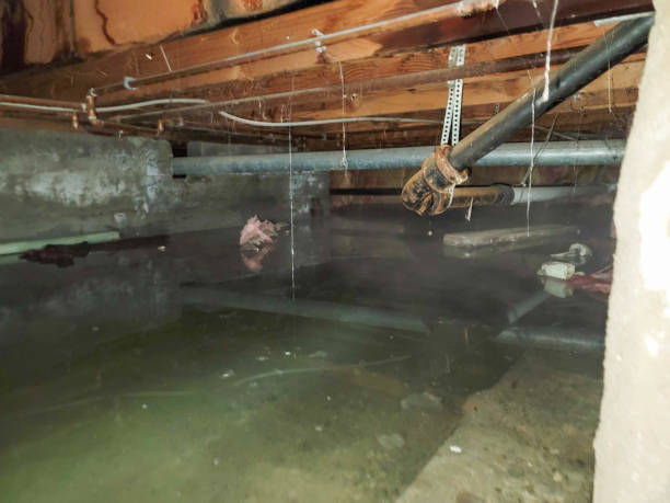 Best Local water damage restoration  in Holiday City Berkeley, NJ