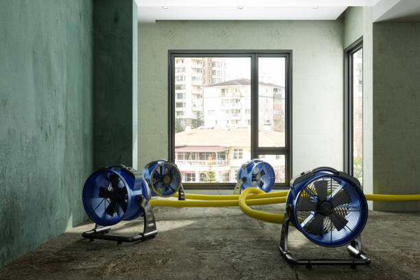  Holiday City Berkeley, NJ Water damage restoration Pros