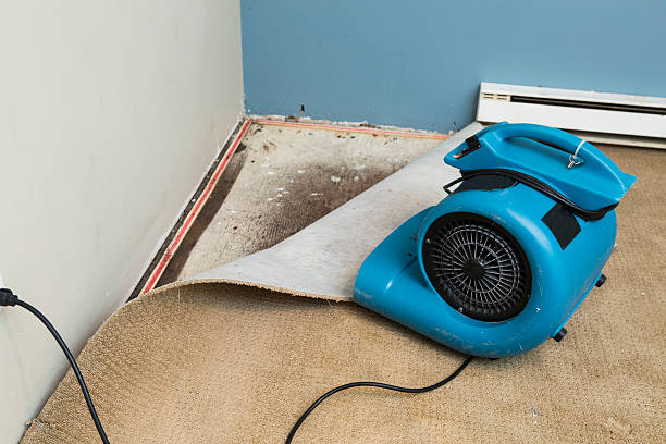 Best 24-hour water damage restoration  in Holiday City Berkeley, NJ